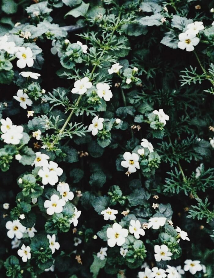 lift 6-pack - Image 6
